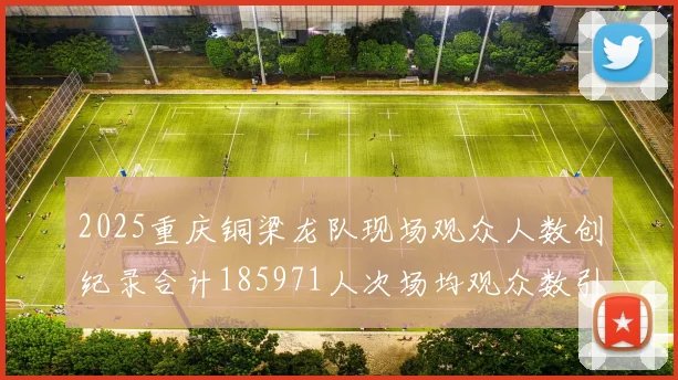 2025重庆铜梁龙队现场观众人数创纪录合计185971人次场均观众数引发热议