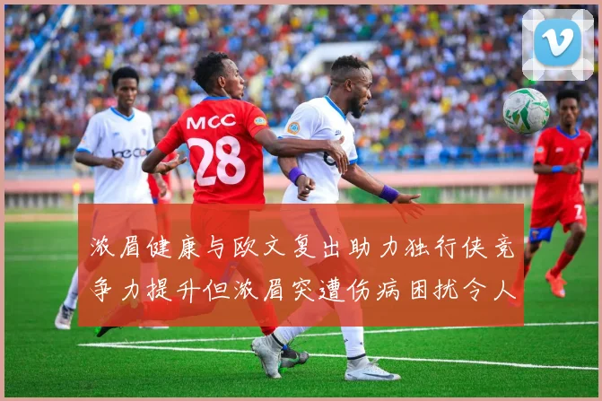 浓眉健康与欧文复出助力独行侠竞争力提升但浓眉突遭伤病困扰令人担忧