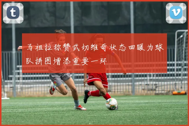 马祖拉称赞武切维奇状态回暖为球队拼图增添重要一环